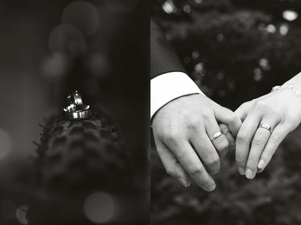 Hochzeitsringe-Ringe-Hochzeit-Schmuck-Hochzeitsfotos-Hochzeitsfotograf-Fotograf-Bayreuth-Bamberg-Coburg-Weiden-Fürth-Erlangen-nürnberg