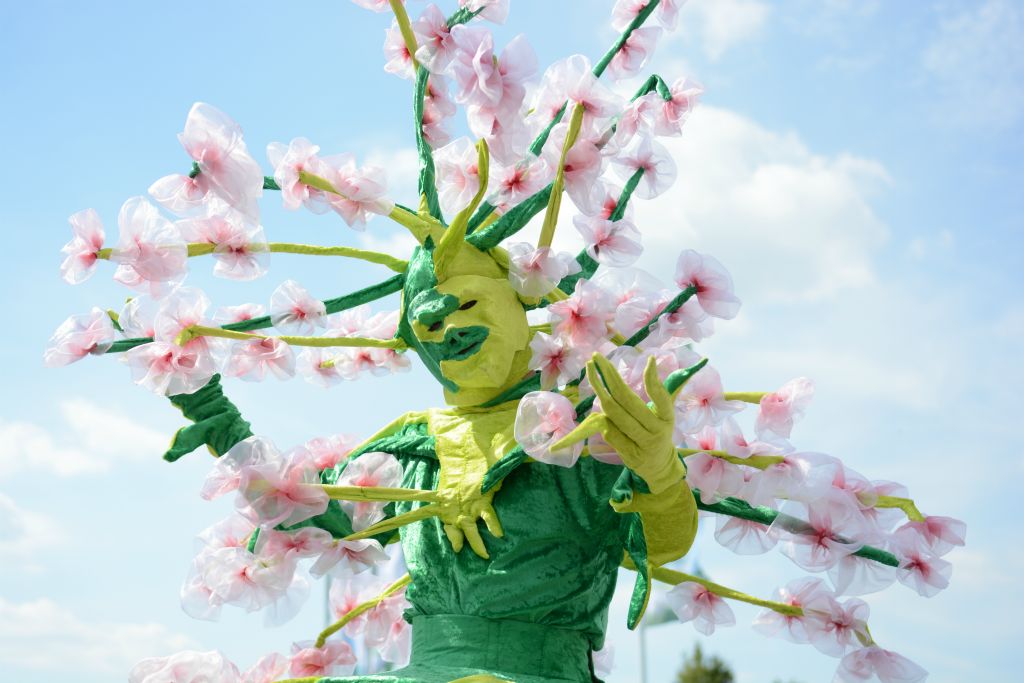 Hello %Fotograf Max Hörath Design % 4