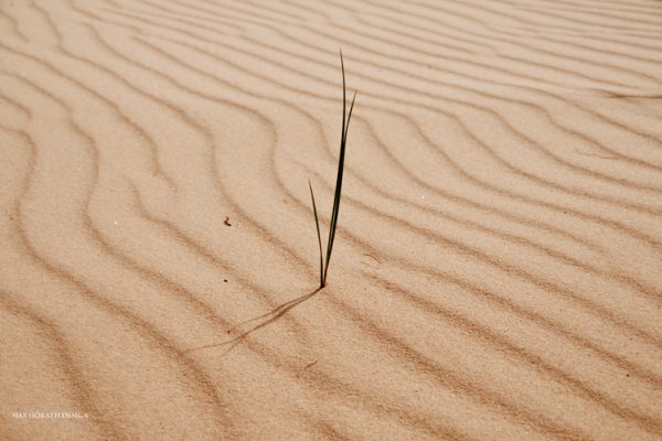 Gras