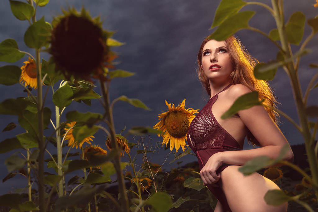 Fotoshooting in einem Sonnenblumenfeld