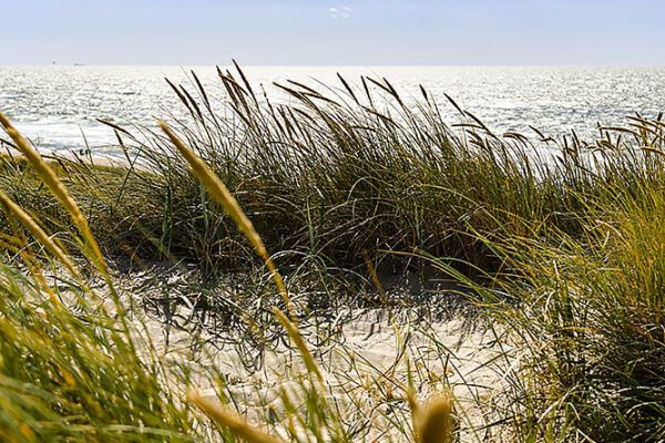 Fotokurse aus Sylt - Max Hörath Design