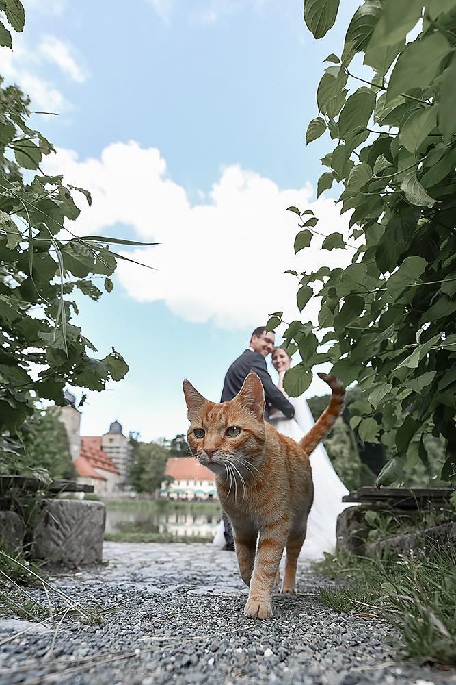 Hochzeit im Schloss Thurnau - Oberfranken Max Hörath Design