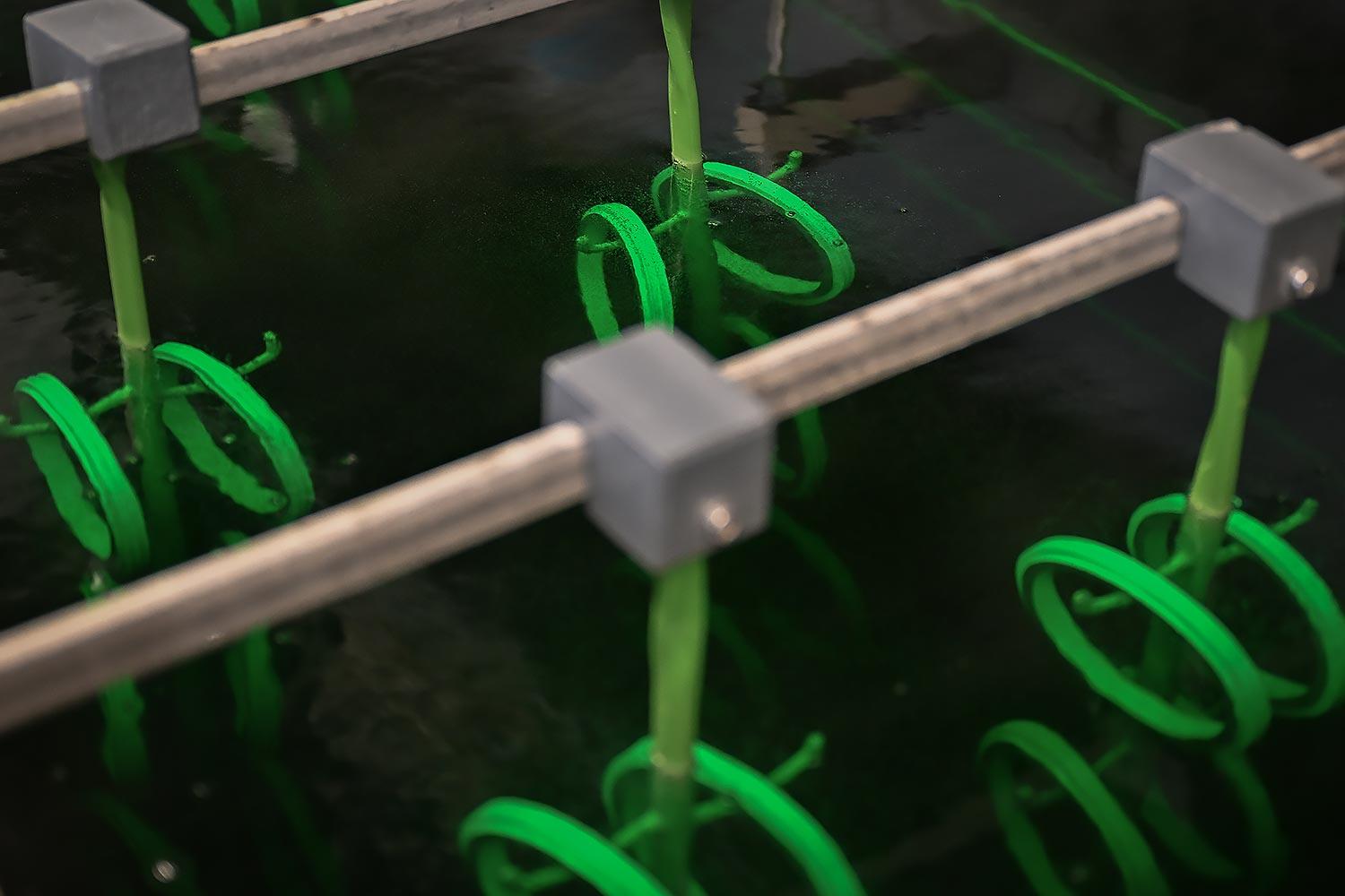 Workshop Fotokurs / Fotografie von Max Hörath Design